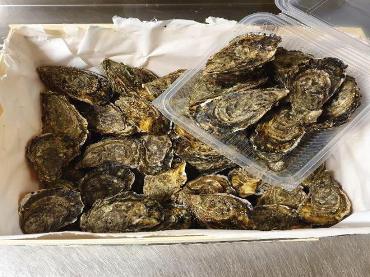 Dégustation d'huitres Ondres